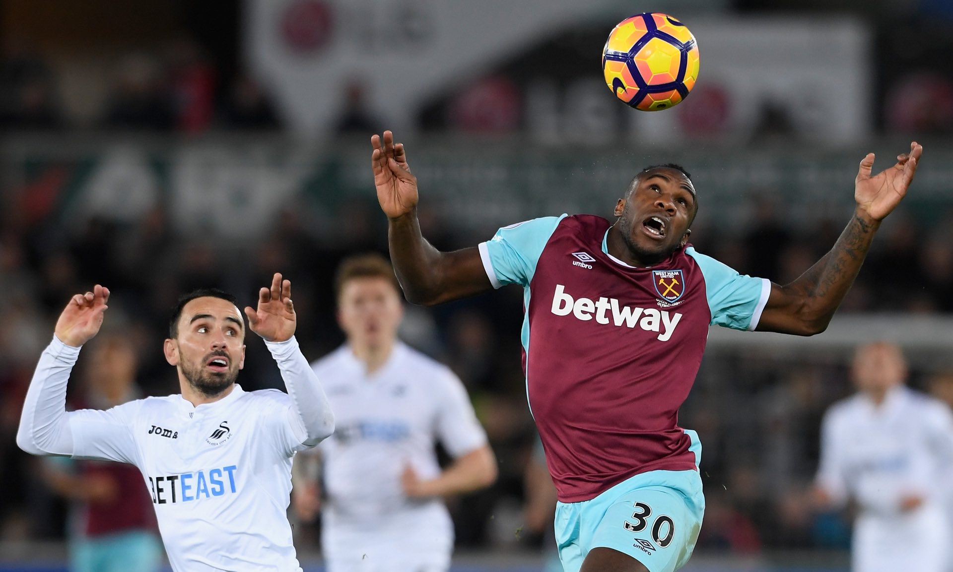 仅显示了他 仅显示了他